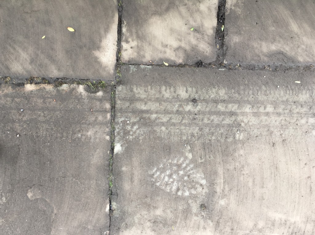 prints of bike tyre and shoe in dust on pavement.